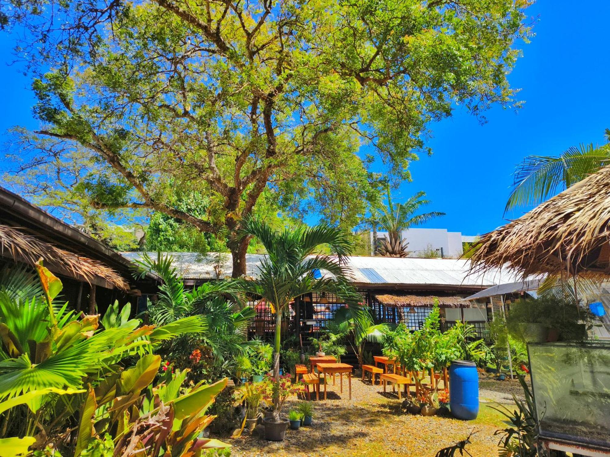 Lokal Hut Bed And Breakfast 公主港 外观 照片